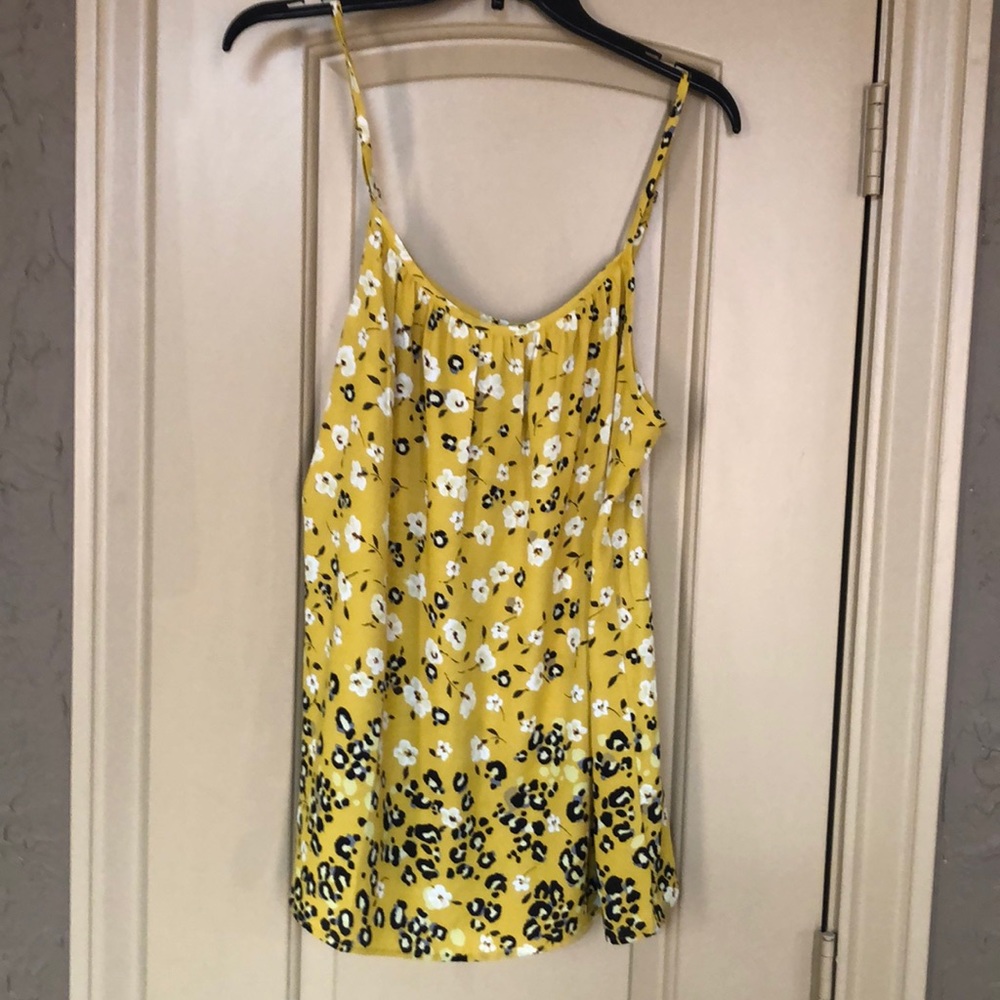 CABII cami